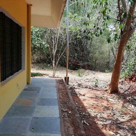 Purity Guest House Auroville Exteriör bild