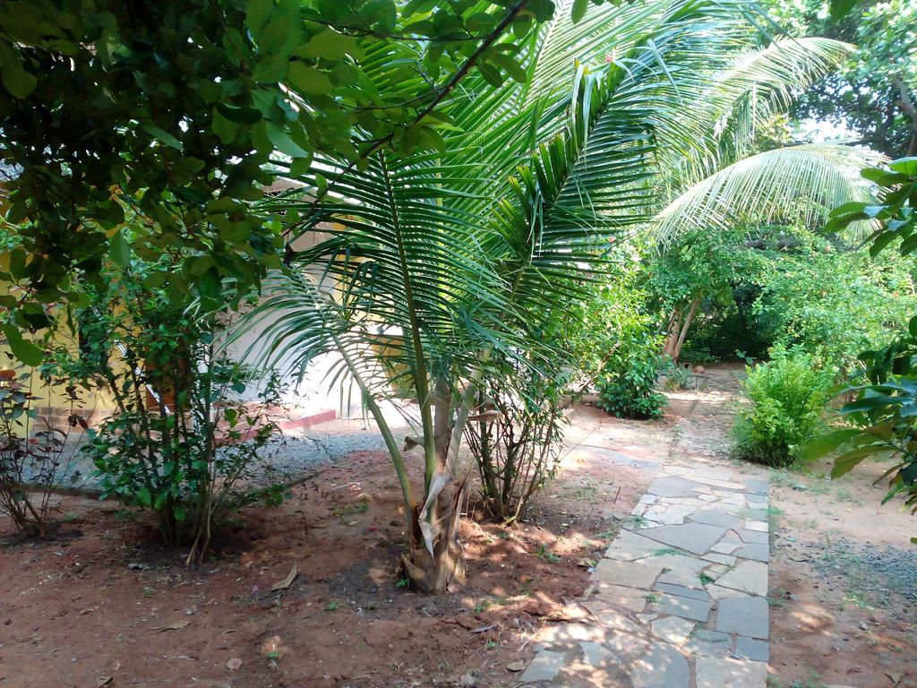 Purity Guest House Auroville Exteriör bild